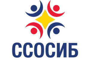 Izrada sajtova 21 izrada sajta beograd Sportski savez osoba sa invaliditetom