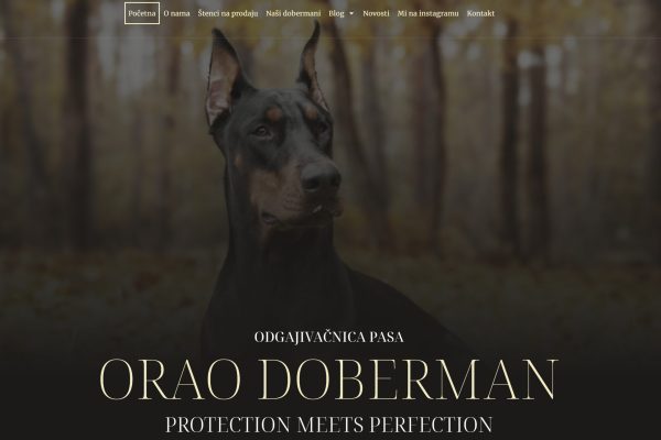 orao doberman